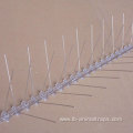 Long Plastic Pigeon Control Spikes Anti Bird Spikes